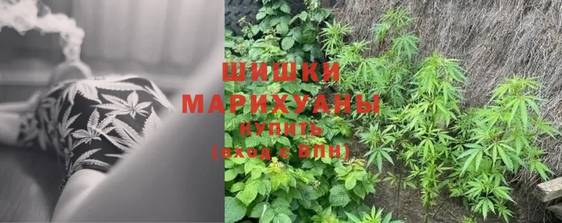 Бошки марихуана SATIVA & INDICA  hydra ССЫЛКА  Беломорск  магазин продажи  